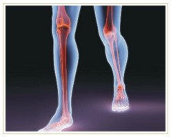 Slider image (8) ADIVA | Stem Cell Therapy Center